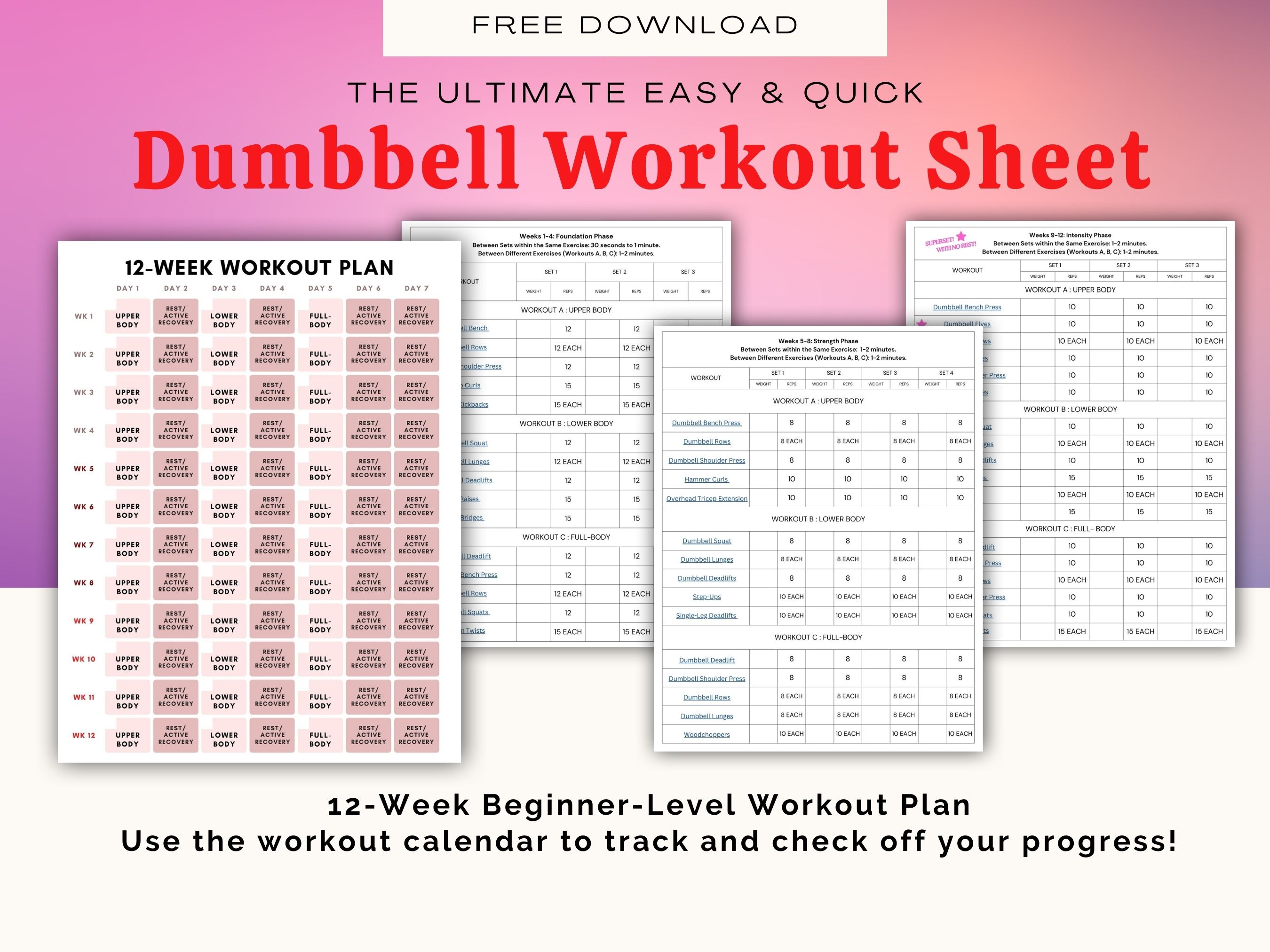 12 week dumbbell workout Sheet